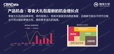 199it 中國市場互聯網數據資訊與處理服務的先鋒